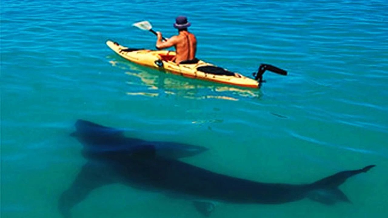 8 Most Dangerous Tourist Spots In The World