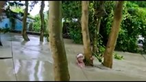 Man found clinging to tree in severe flooding in eastern India