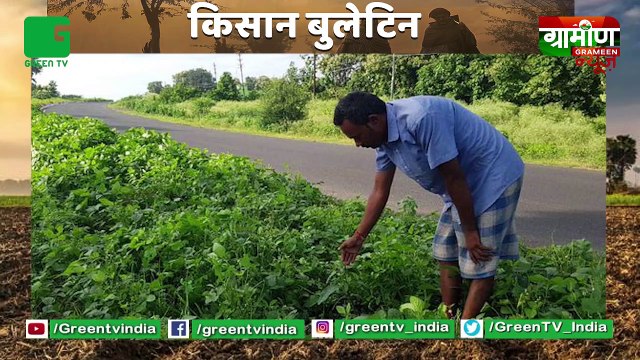 Kisan ने उगाई Soyabean Crop, National Highway पर : Soyabean Farming | Kisan Bulletin | Grameen News