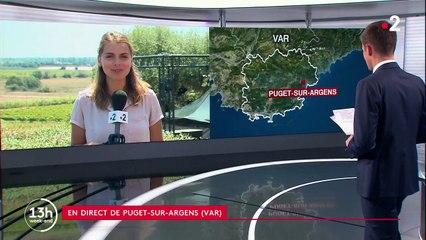 Culture : un concert au milieu des oliviers dans le Var