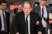 Harvey Weinstein has been hit with another sexual assault lawsuit