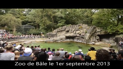 20130901 Fusion Zoo de Bâle le 1er septembre 2013
