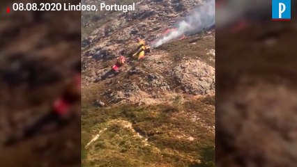 Portugal : un Canadair s’écrase en combattant un incendie, un mort