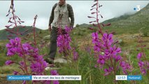 Savoie : de nouveaux lacs de montagne font leur apparition