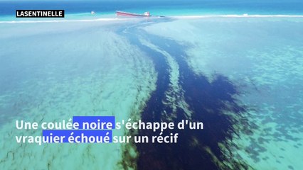 Maurice: des hydrocarbures s'écoulent d'un bateau échoué depuis fin juillet