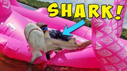 SHARK BITES MAN'S FLOAT!!!
