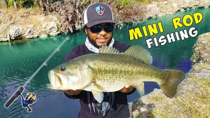 Mini Rod Catches Massive Bass Road Side Fishing Challenge!