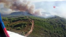 Milas’taki orman yangınına müdahale sürüyor