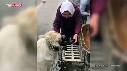 Köpeğe su içiren yaşlı kadın: Kendi nefsini düşünmeyeceksin