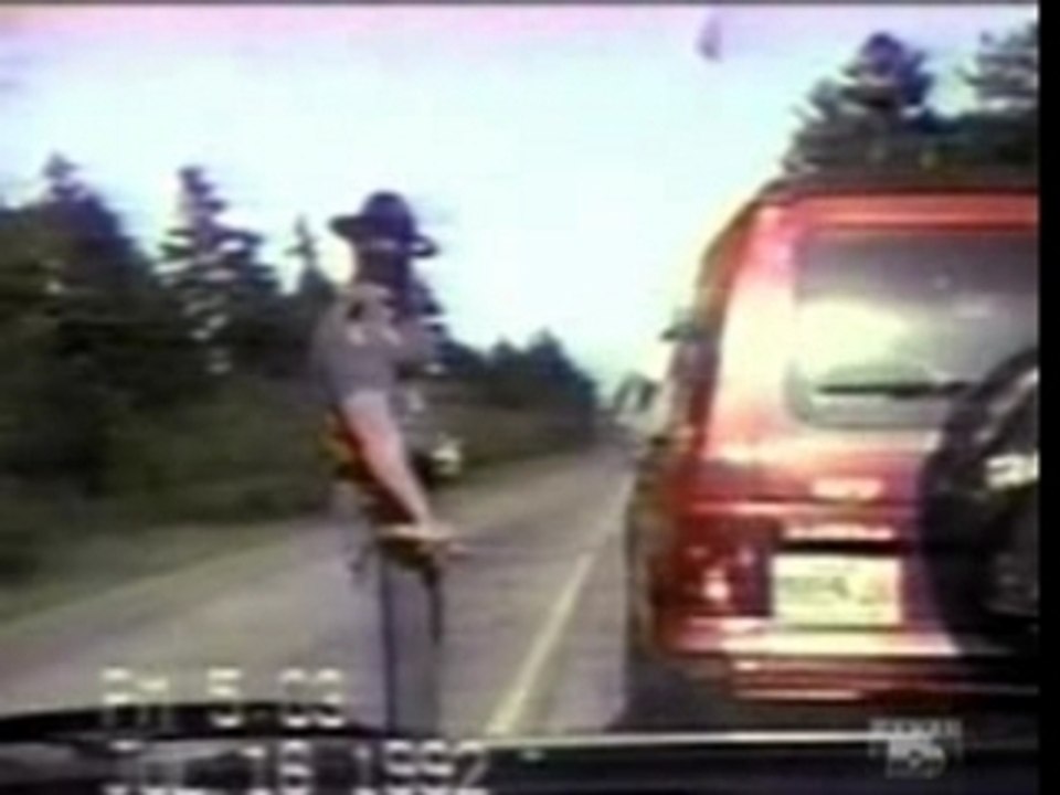 99 CRIMES INSOLITE 2