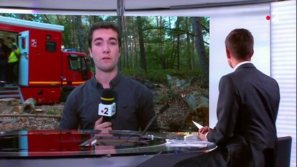 Fontainebleau : la forêt sous surveillance