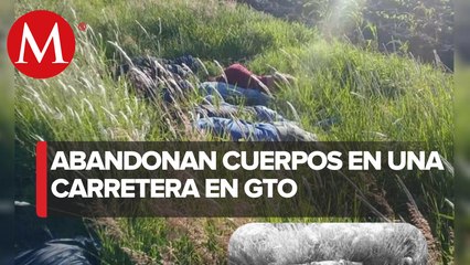 Encuentran a 7 personas asesinadas en Guanajuato