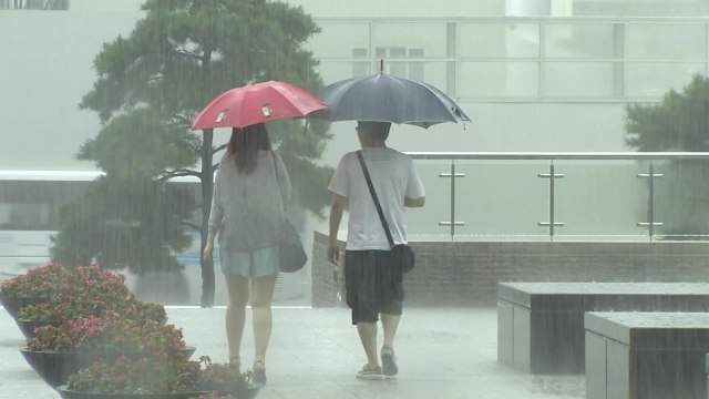 [날씨] 중부 모레까지 최고 500mm '물폭탄'...태풍 '장미'도 북상 / YTN