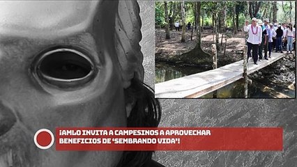 Invita presidente a campesinos a aprovechar beneficios de ‘Sembrando Vida’