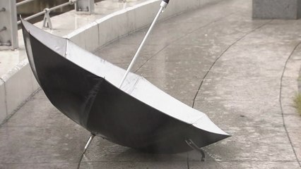 태풍 '장미', 내일 한반도 상륙...남해안·영동 피해 비상 / YTN