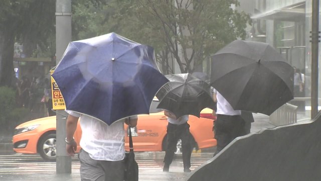 [날씨] 중부 모레까지 500mm↑...5호 태풍 '장미' 내일 상륙 / YTN