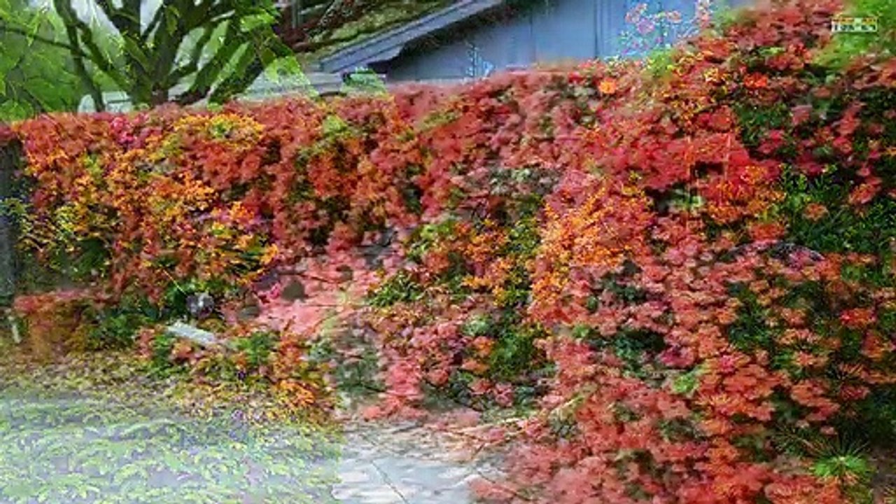Top 80 Beautiful Flower Garden Decor Ideas Everybody Will Love