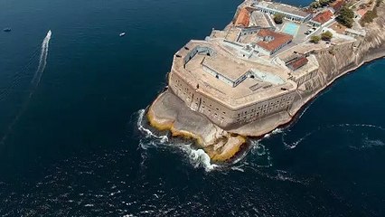 Pexels Videos 1812902