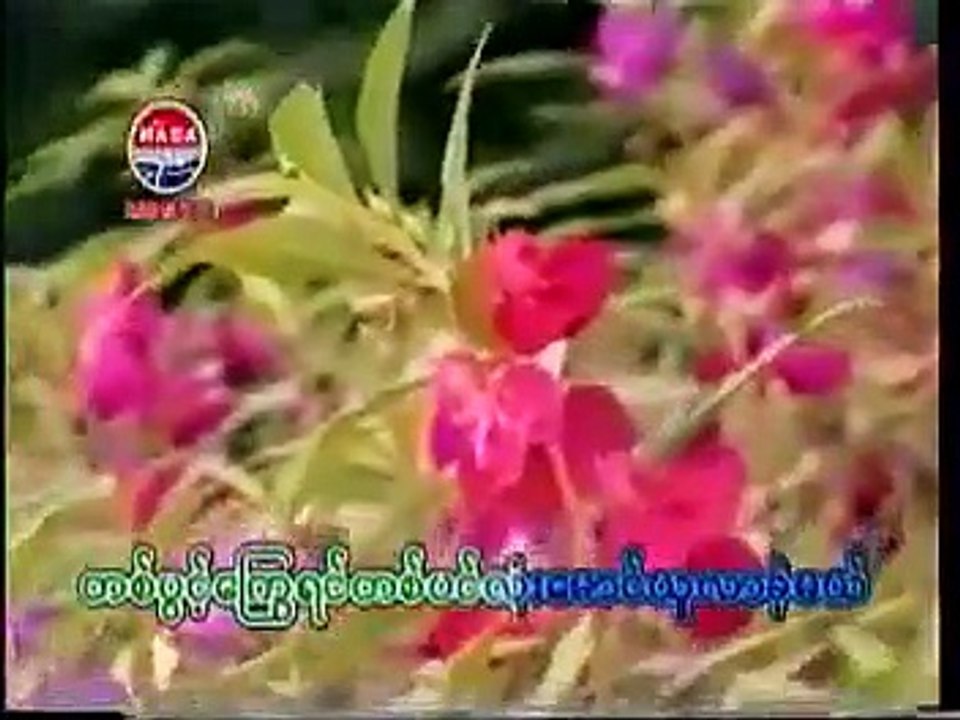 ကဗျာမမှီ စာမမှီ ... စံလင်း