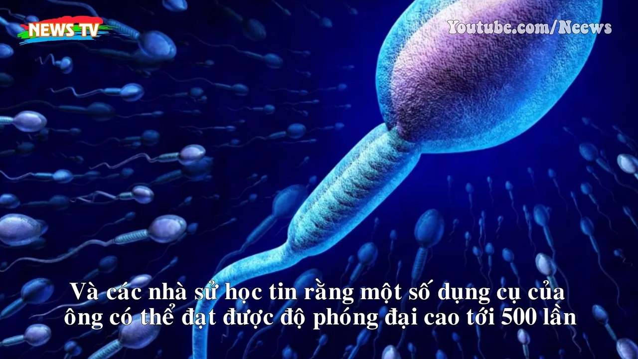 Phát hiện mới về cách hoạt động của tinh t.rù.n.g, quan niệm sai lầm suốt 300 năm
