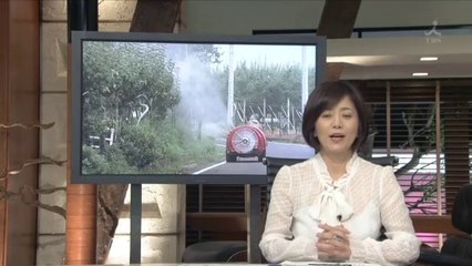 YT未公開　女子アナ特集　草野光代　ニュース23