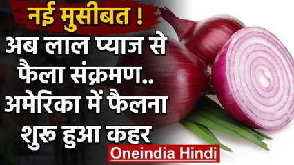 Salmonella infection : अब लाल प्याज से फैला संक्रमण,अमेरिका में फैला कहर | वनइंडिया हिंदी