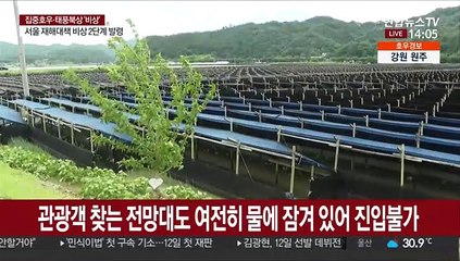 세계농업문화유산도 직격탄…금산 인삼밭 여전히 침수