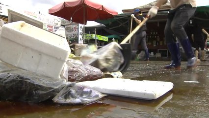 내일 다시 태풍 영항권으로...화개장터 상황은? / YTN