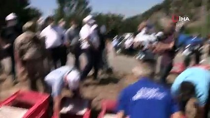 DOĞAL KENE AVCILARI KEKLİK VE SÜLÜNLER