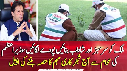 Country’s ‘biggest’ tree plantation drive kicks off today