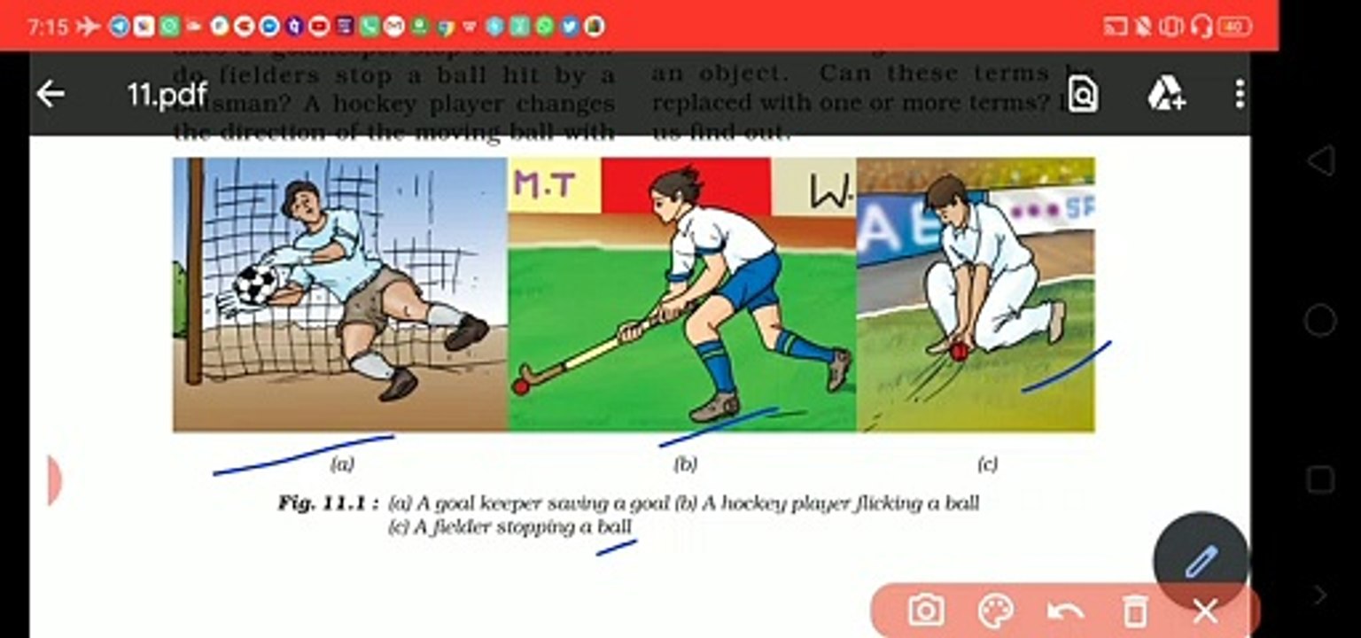 Force and pressure part 1