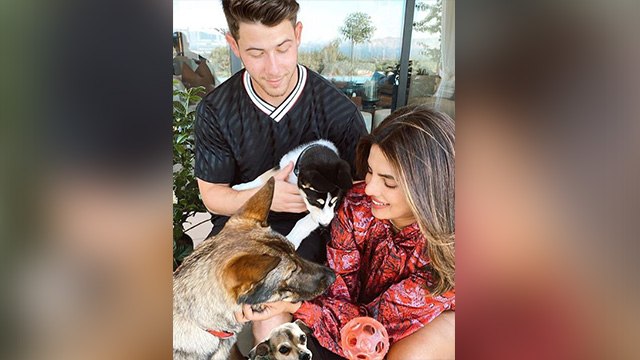 Priyanka Chopra के घर आया नया मेहमान, Fans को इस तरह दी GoodNews । Boldsky