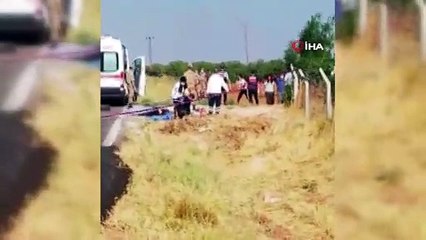 Baba ve oğul fıstık kavgasında öldürüldü