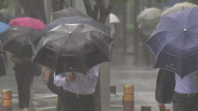 [날씨] 중북부 밤사이 집중호우...태풍 '장미' 북상 중 / YTN