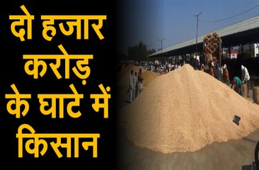 किसानों को हो रहा 2000 करोड़ का घाटा