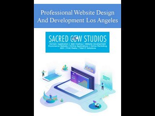 Professional Website Design And Development Los Angeles