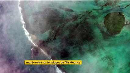 Île Maurice : l’urgence face à une catastrophe écologique