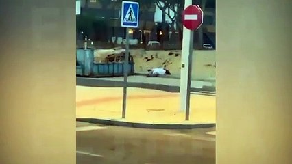 Interrumpe a una pareja que hacía el amor en la calle cantando un fandango