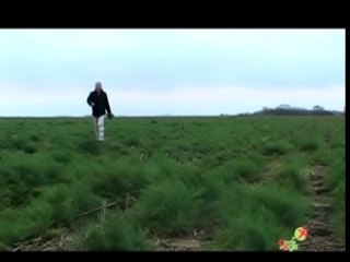 Enguerrand de SAINT PRIEST - Aroma Professionnel