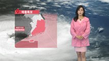 [날씨] 밤사이 집중호우...내일 5호 태풍 '장미' 북상 / YTN
