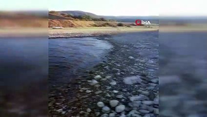 Osmancık’taki balık ölümleri endişelendirdi