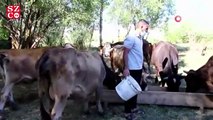 Varto’da genç çiftçi, kiraladığı ahır satılınca hayvanları ile birlikte dışarıda kaldı