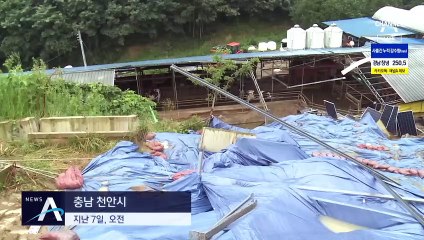 곳곳에서 우르르…‘시한폭탄’ 산비탈 태양광 시설