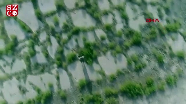 MSB: TurAz Kartalı Tatbikatı hız kesmeden devam ediyor