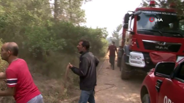 Aydos Ormanında yangın çıktı. Olay yerine itfaiye ekipleri sevk edildi