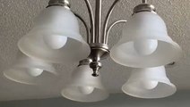 Chandelier sways after earthquake in South Carolina