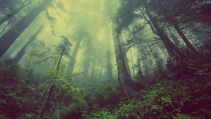 Govt vs activists over environmental impact assessment draft