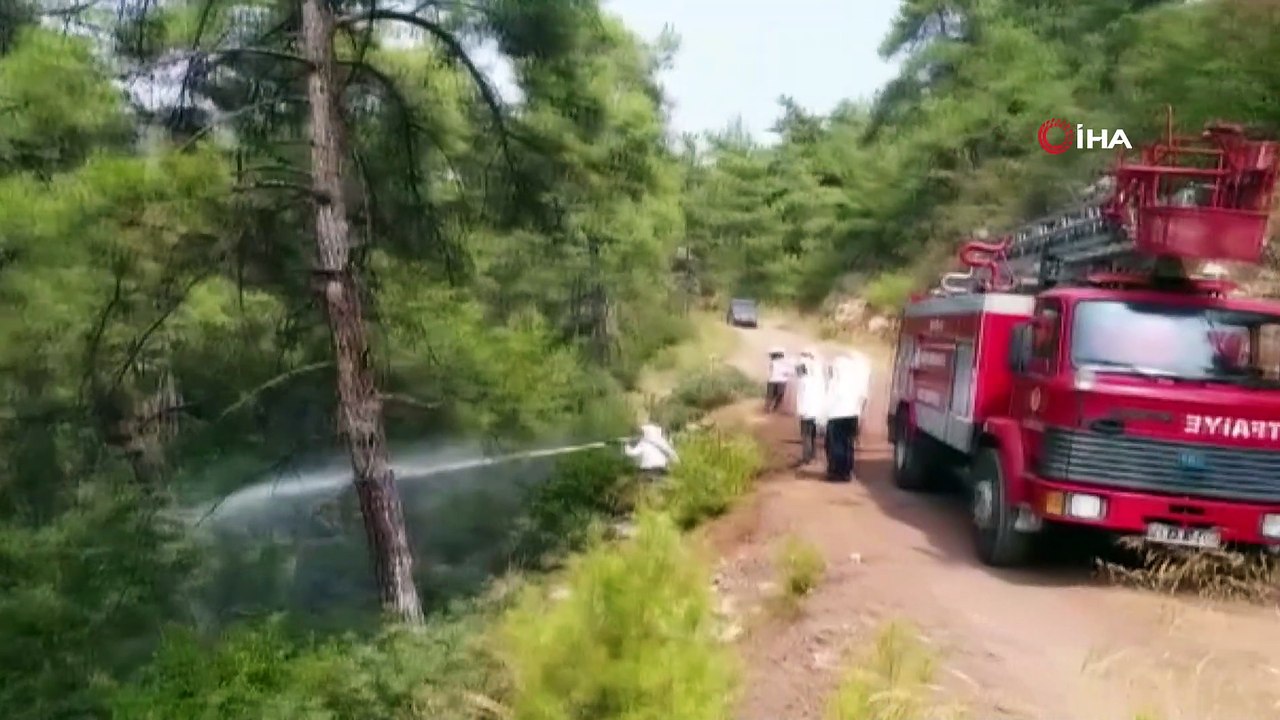 Arı kovanı taşıyan kamyonet uçurumdan yuvarlandı... İtfaiye ekipleri bu defa arıların kızgınlığını gidermek için görev yaptı