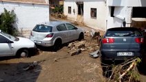 Widespread flooding devastates Greek island of Evia