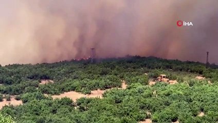 Elazığ’daki orman yangını kontrol altına alındı
